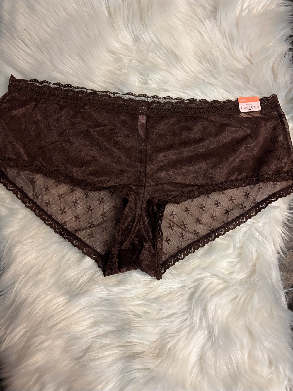 Cacique Dark Brown Lace Boyshort Panty